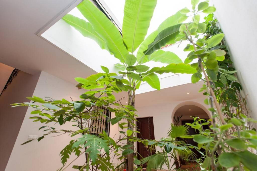 Apartment Cheap & Chic In The Center Of Seville