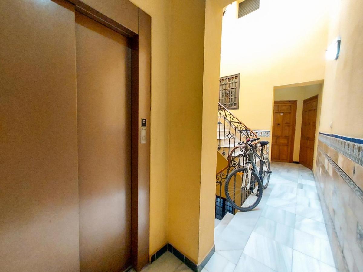 Apartment Alameda Calatrava Seville