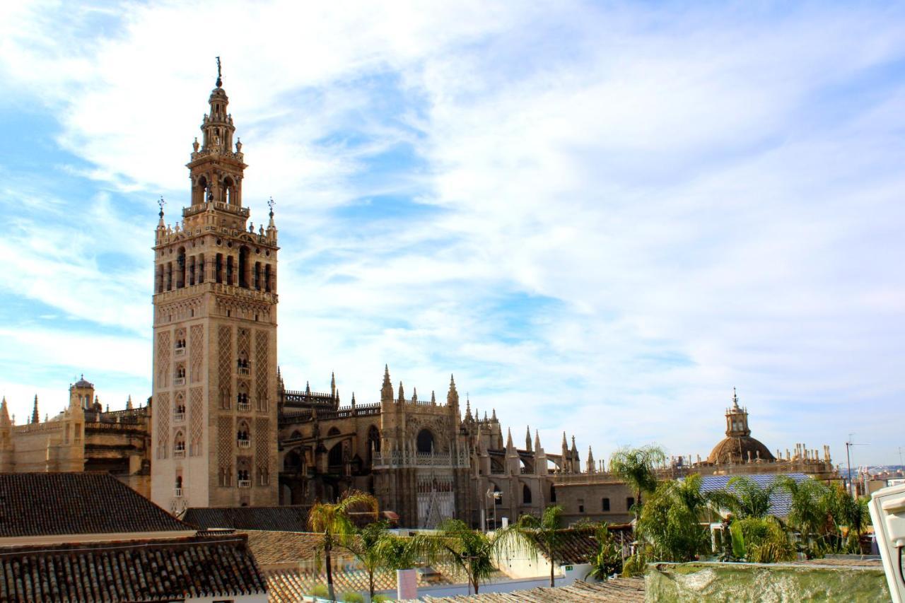 Terraza Catedral Olehousing Apartment