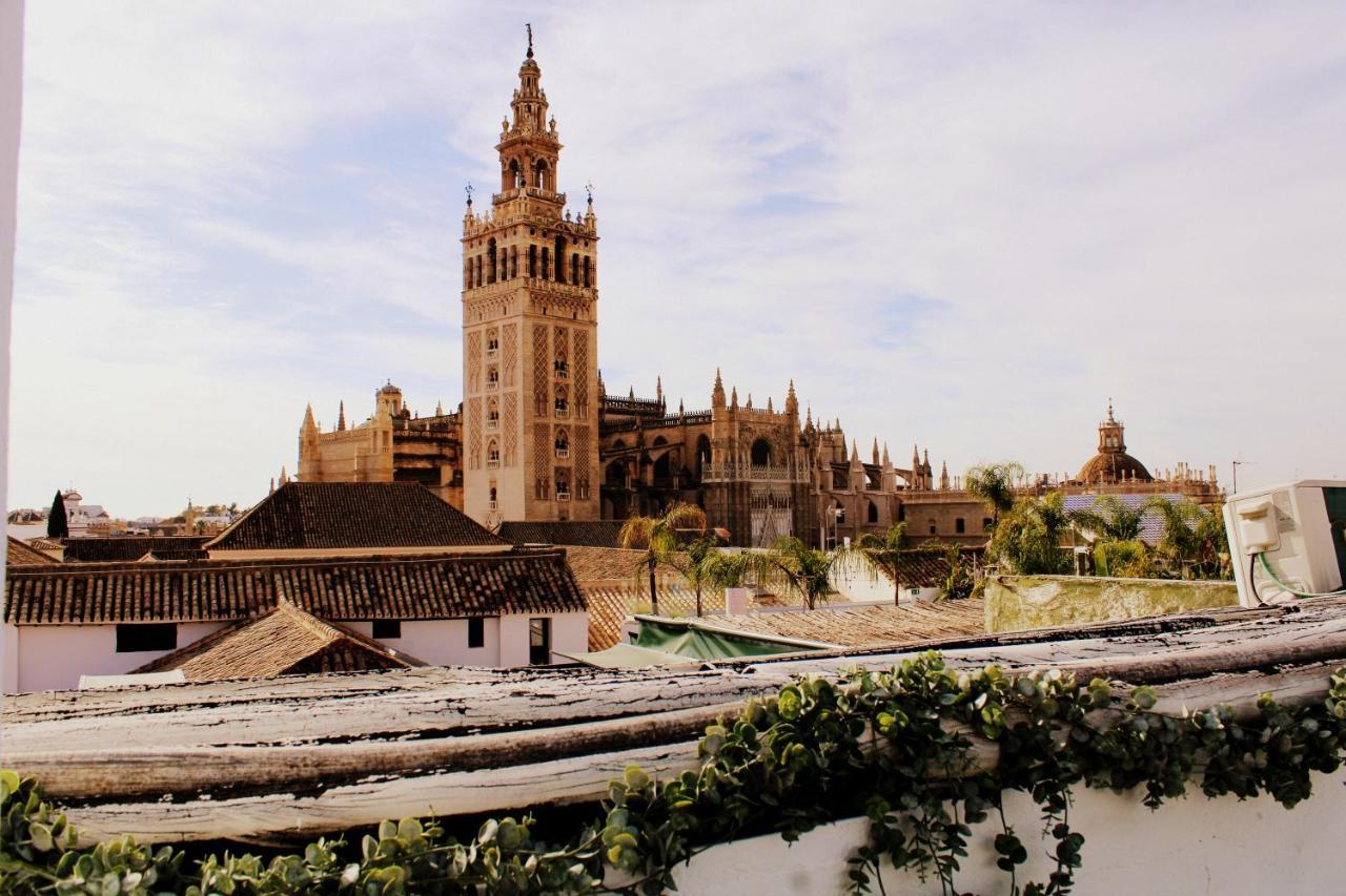 Terraza Catedral Olehousing * Seville