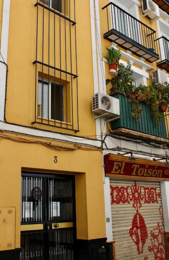Wish Campana De * Seville