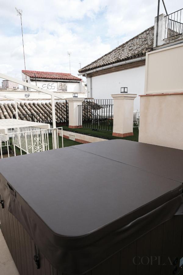 Premium With Rooftop In Centro Apartment