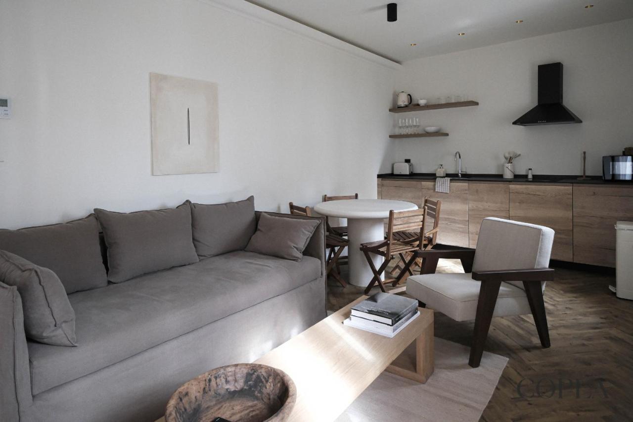 Premium With Rooftop In Centro Apartment