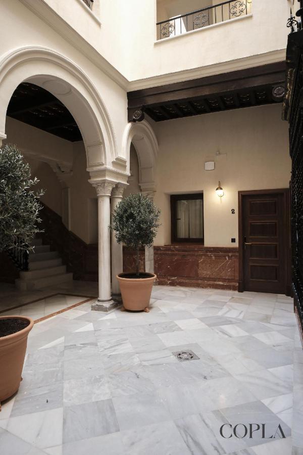 Apartment Premium With Rooftop In Centro Seville