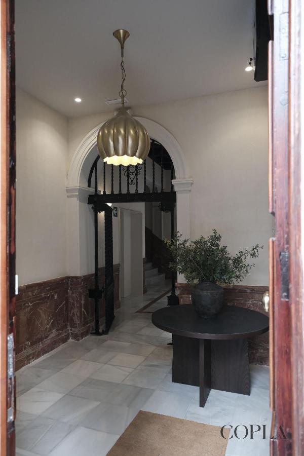 Apartment Premium With Rooftop In Centro *
