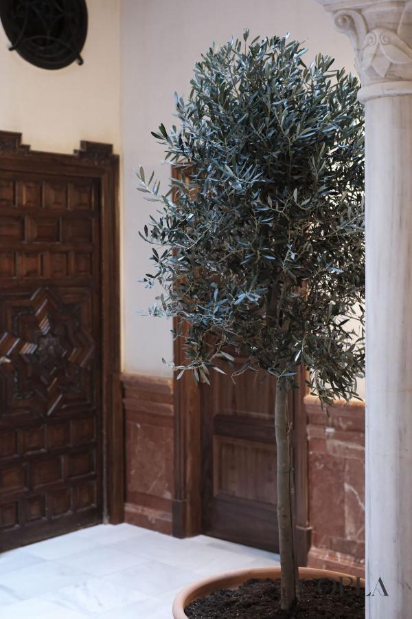 Premium With Rooftop In Centro Apartment Seville