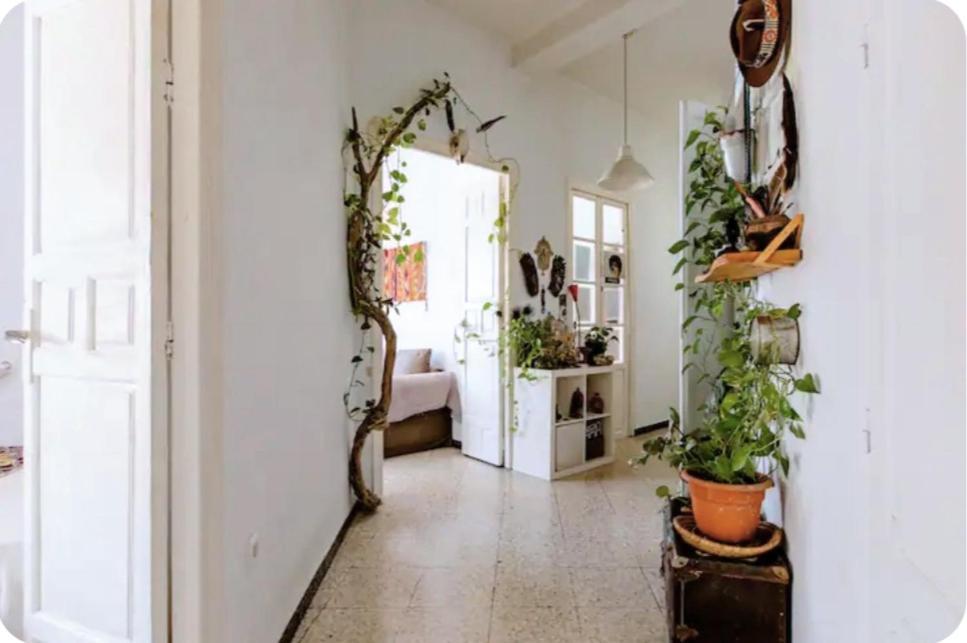 Preciosa En Pleno Centro De Ideal Hacer Turismo Y Vivir La Ciudad Homestay *