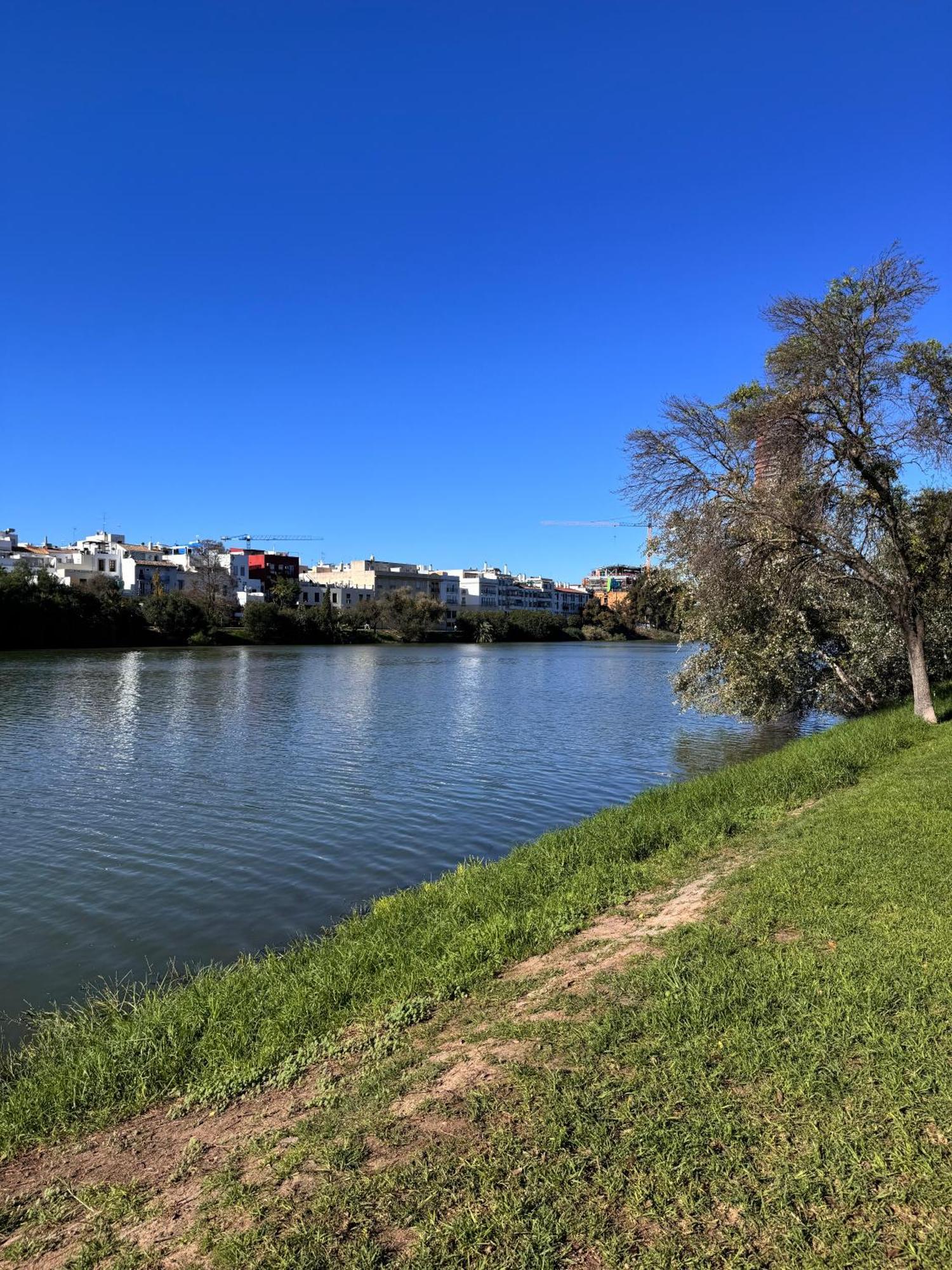 Luca Oliva Homes Riverside *