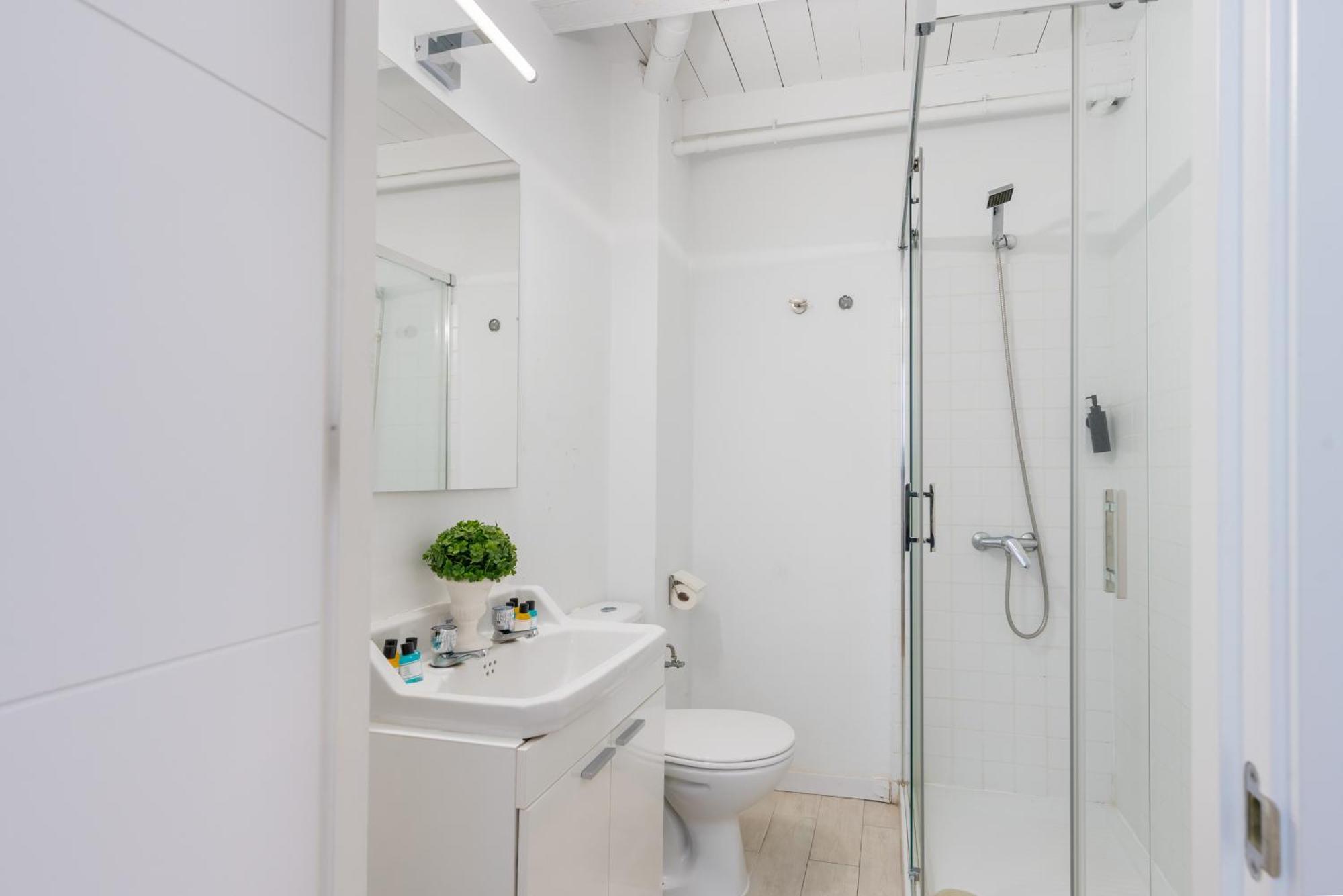 Apartamento Panther Tomas De Ibarra