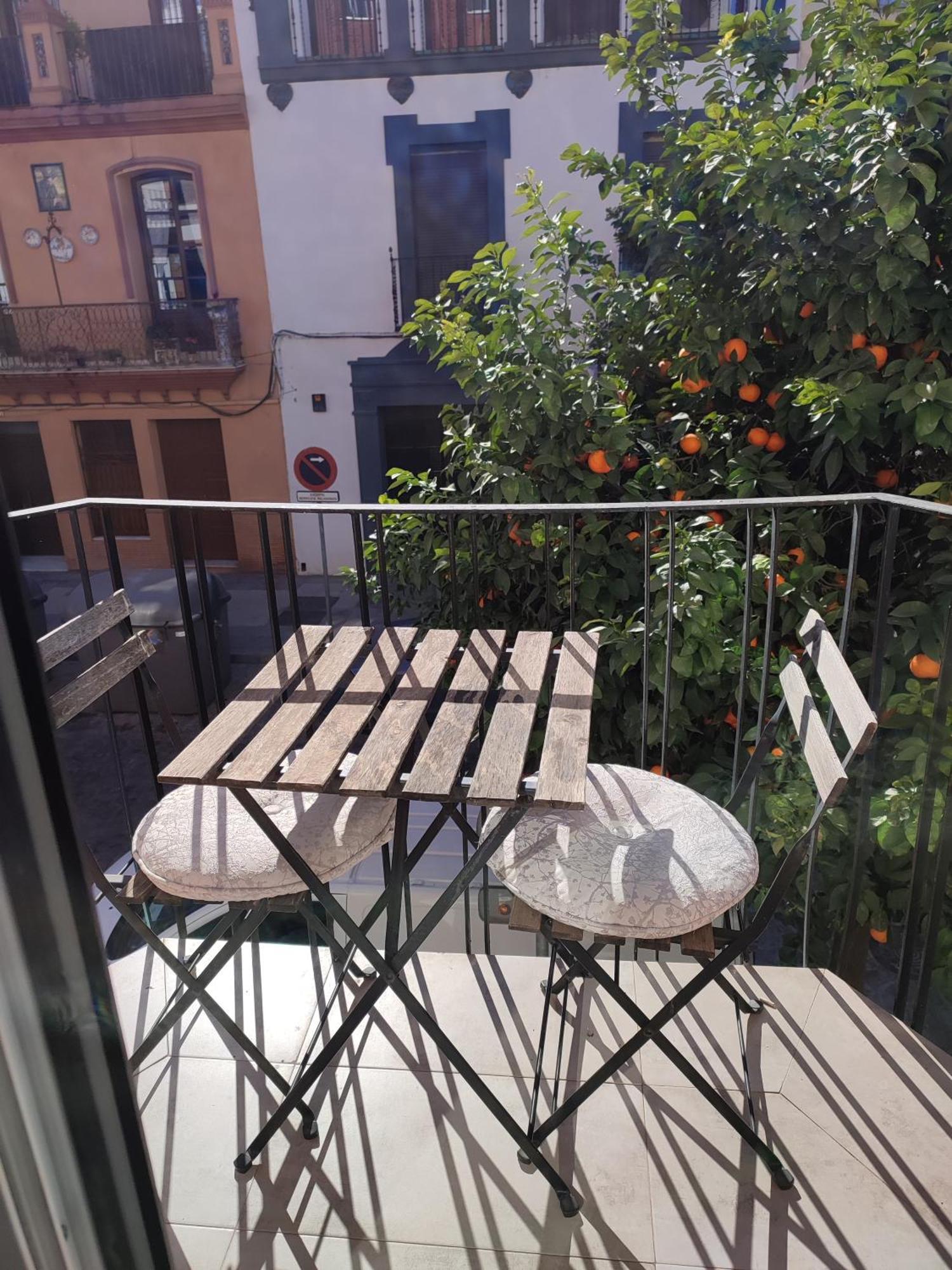 Castilla Casa 5 Holiday home Seville