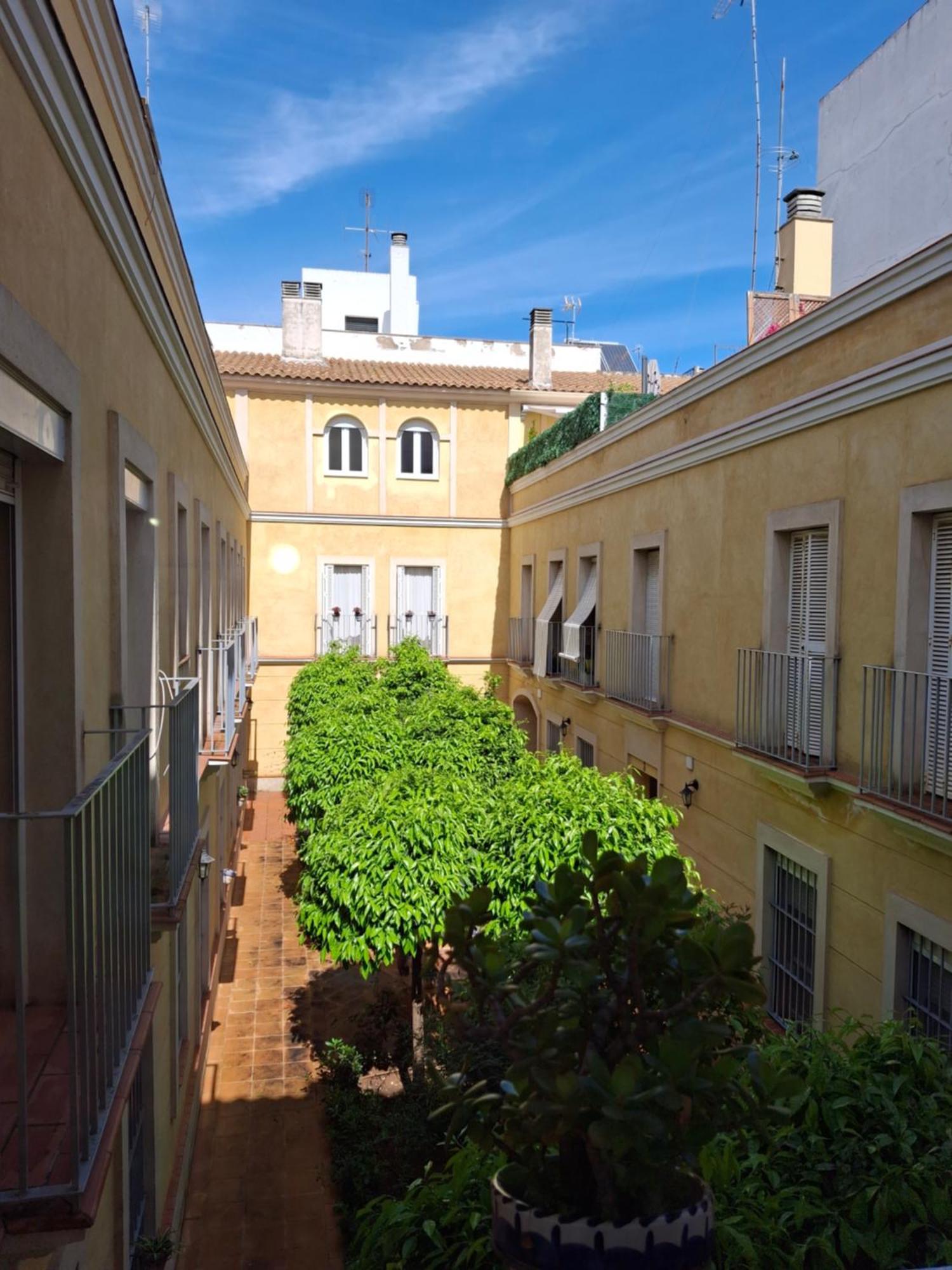 Triana Estudio *