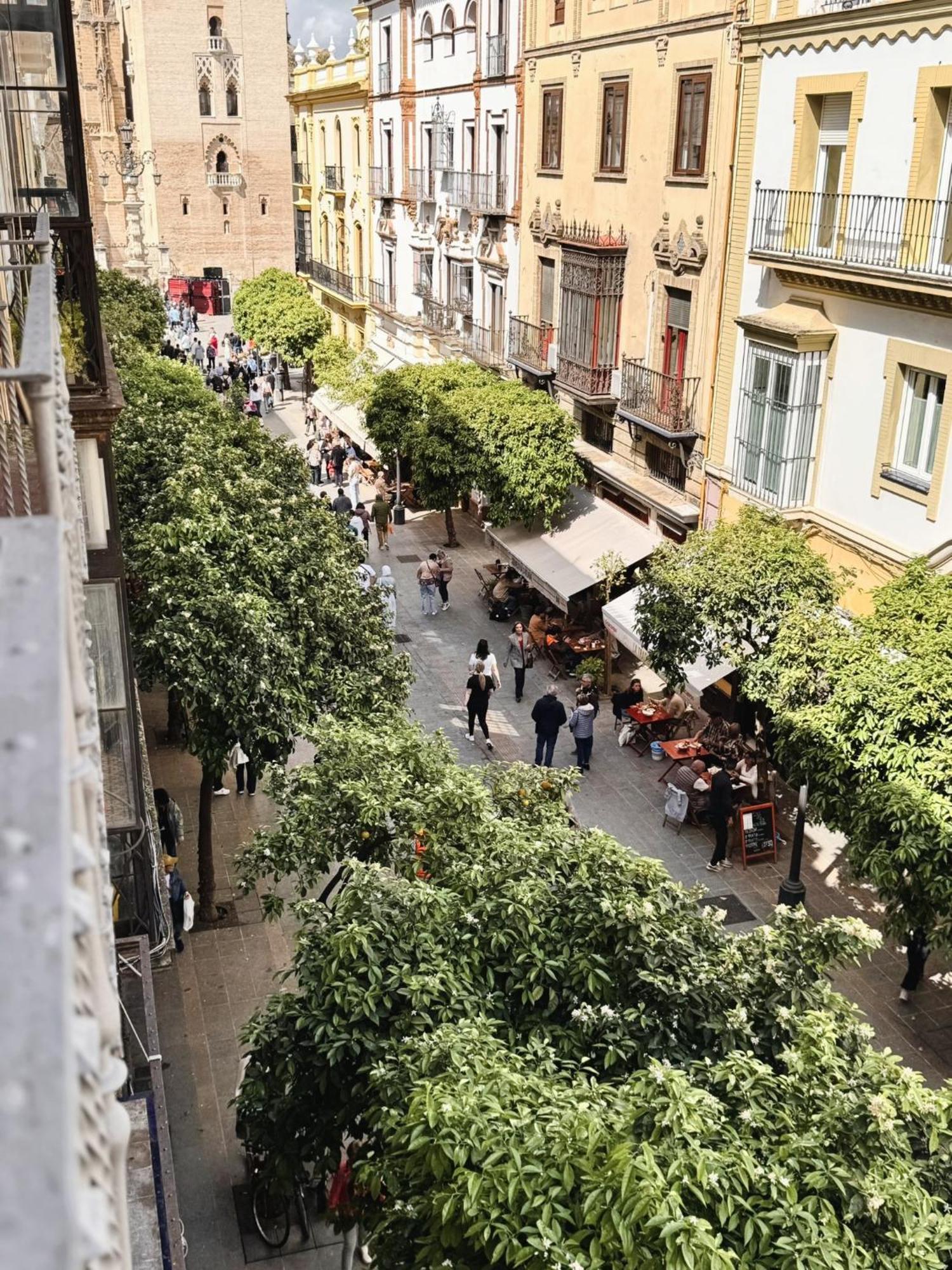 B Elegant & With Unique Views Apartment Seville