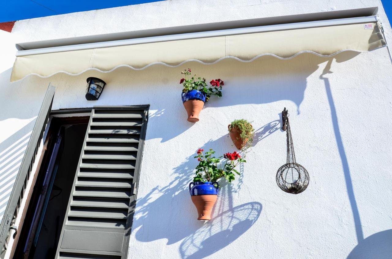 Apartment Alohamundi Campana Seville
