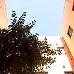 Alohamundi Zaragoza III