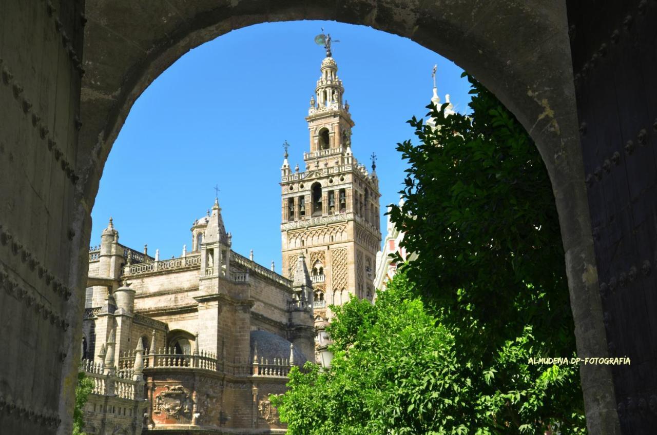 Apartment Wish Sol De Seville