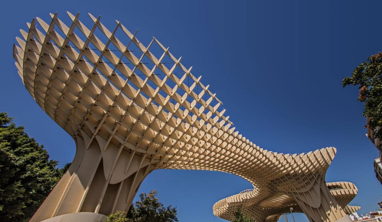 Madrono Regina * Seville