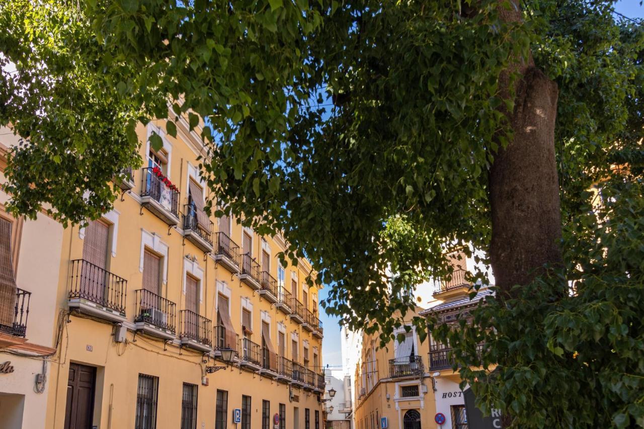 Apartment Nine O Clock San Agustin *