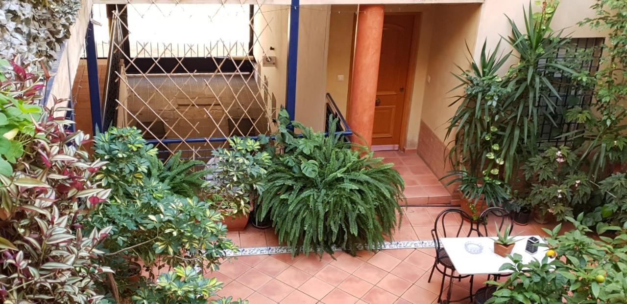 Apartamentos Sevilla Apartment