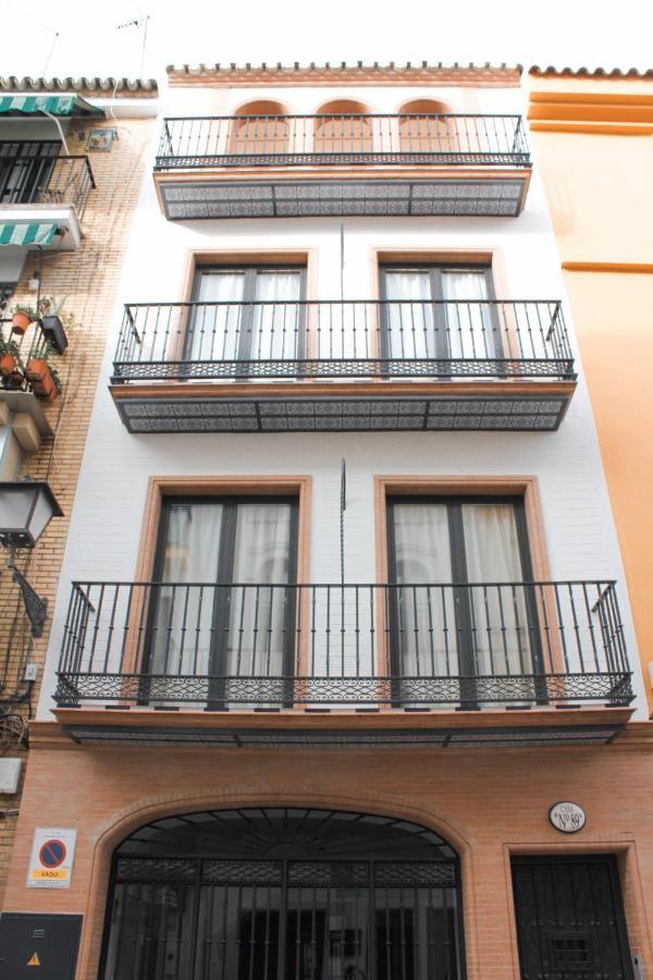 Monkeys Pureza House Seville