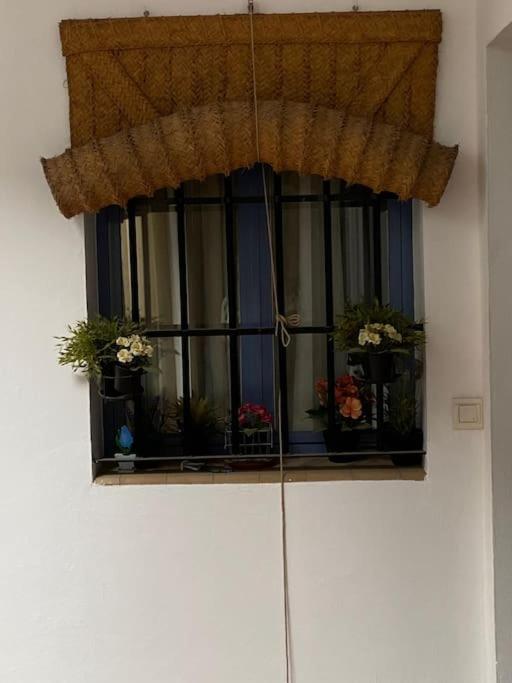 Apartamento Hispalis Casa Pilatos