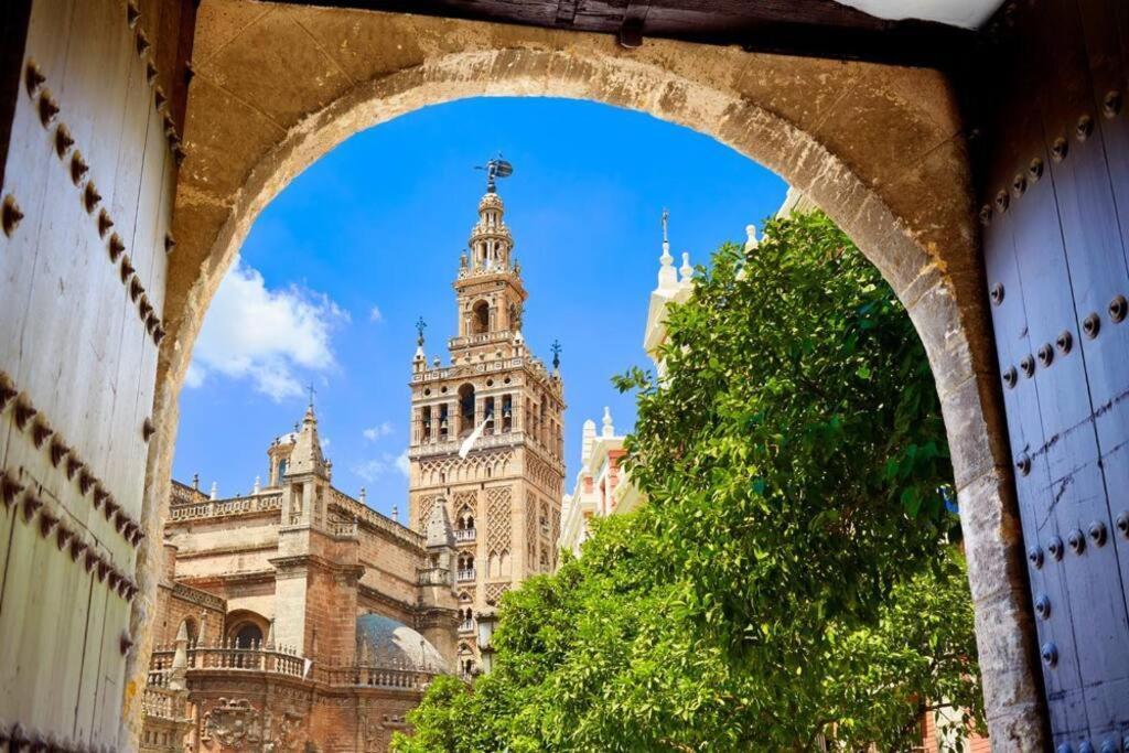 Cder Center Cathedral And Alcazar