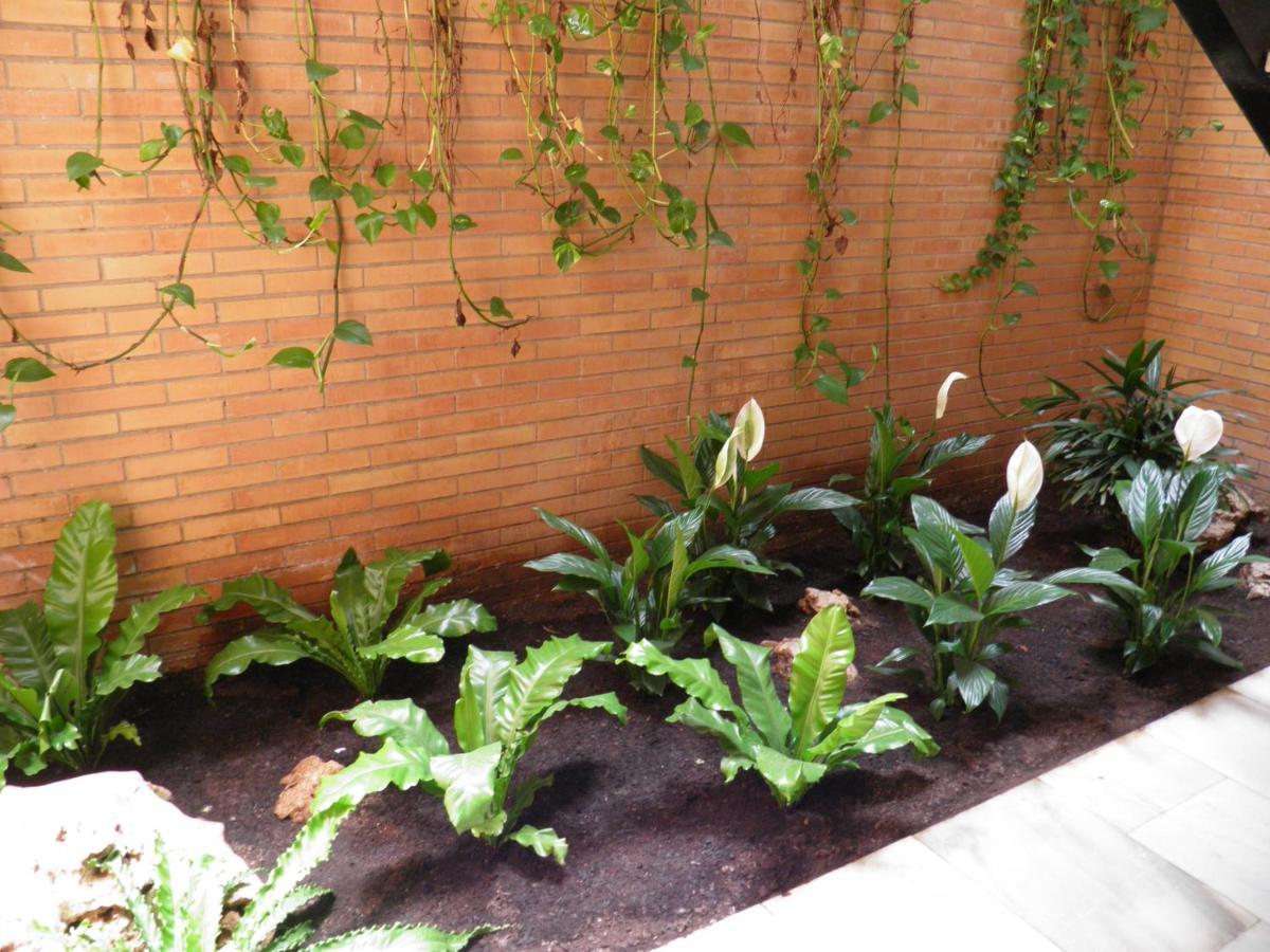 Fibes-congresos Parking Gratis *