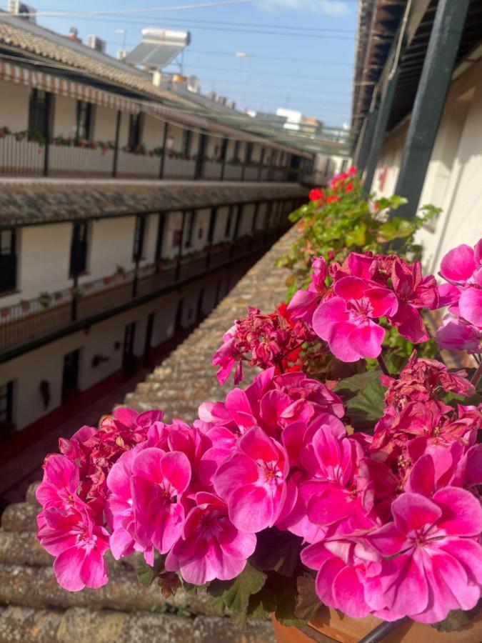 Apartamento Alameda Center