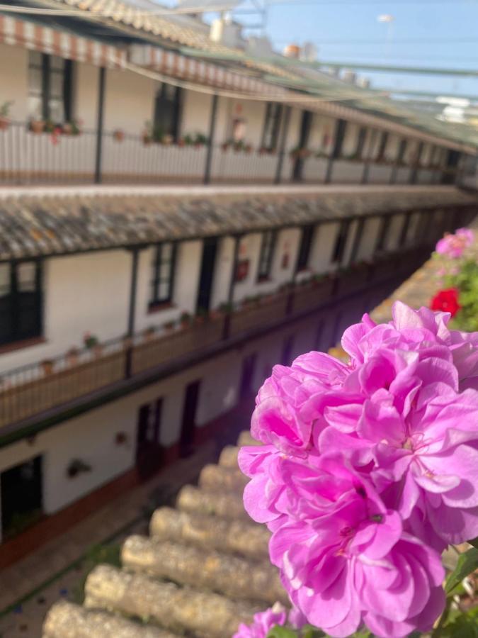 Apartamento Alameda Center