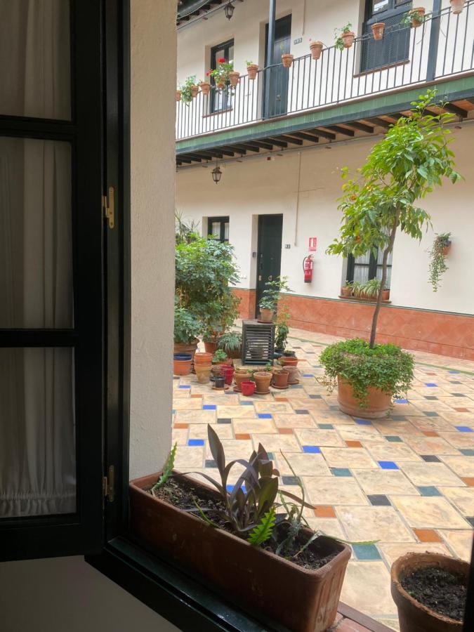 Alameda Center Sevilla