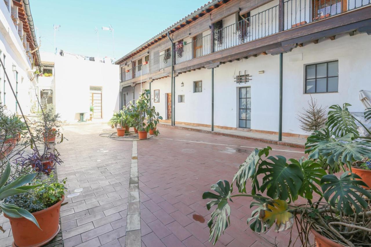 Apartamento Alameda De Hercules (adults Only) *