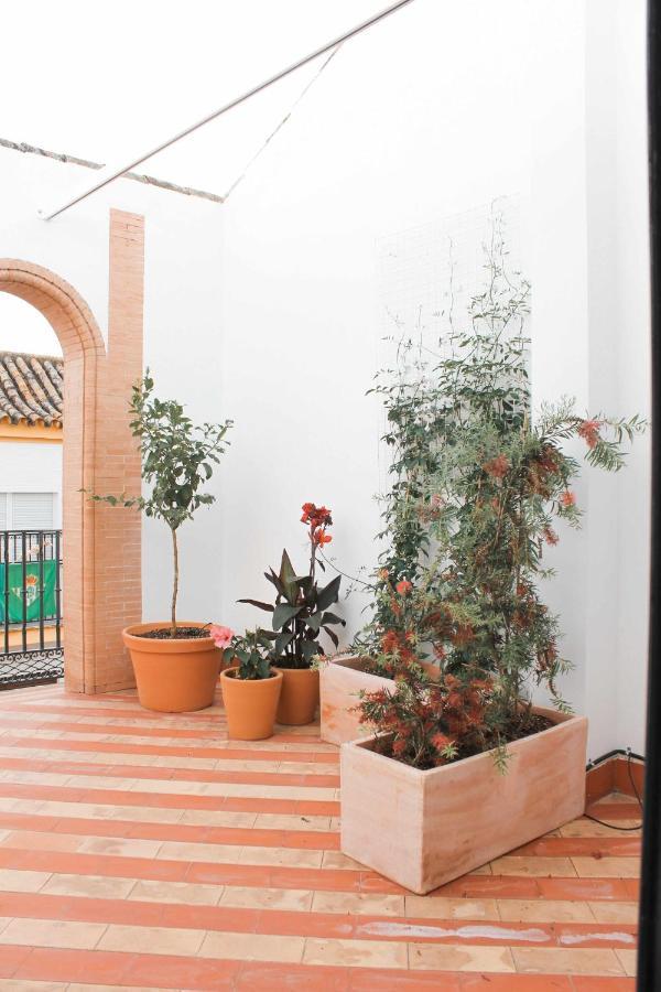 Apartment Monkeys Pureza House Seville