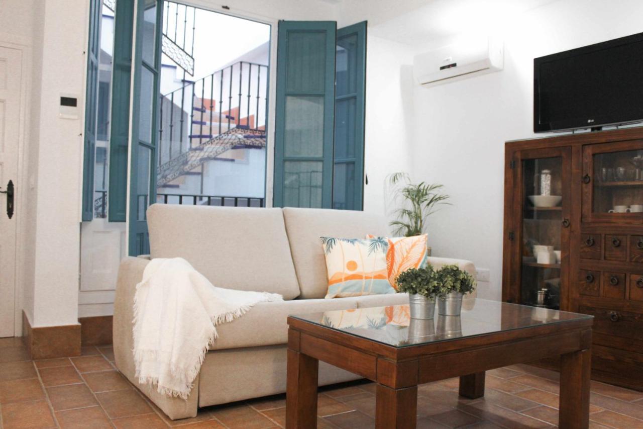 Monkeys Pureza House Seville