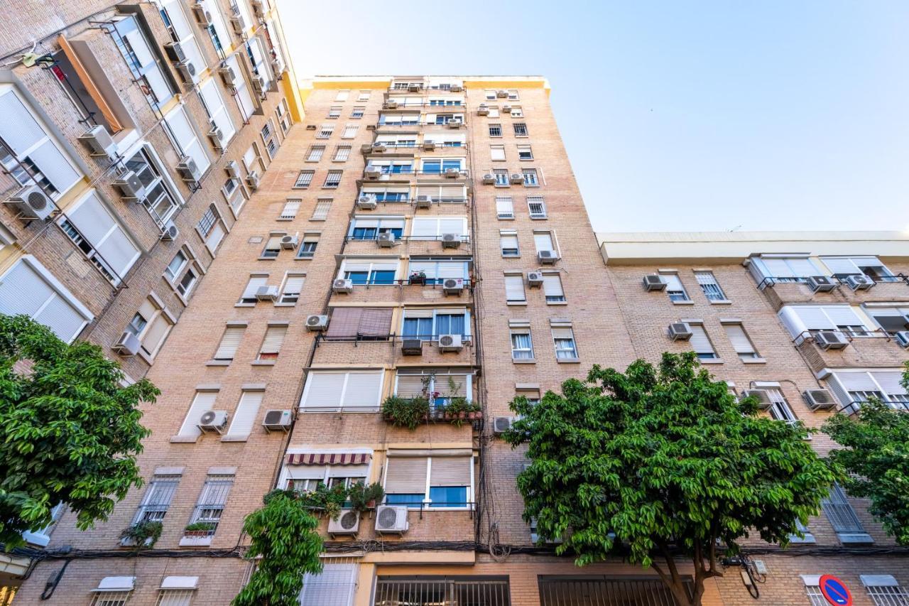 Conde Collection Santa Justa