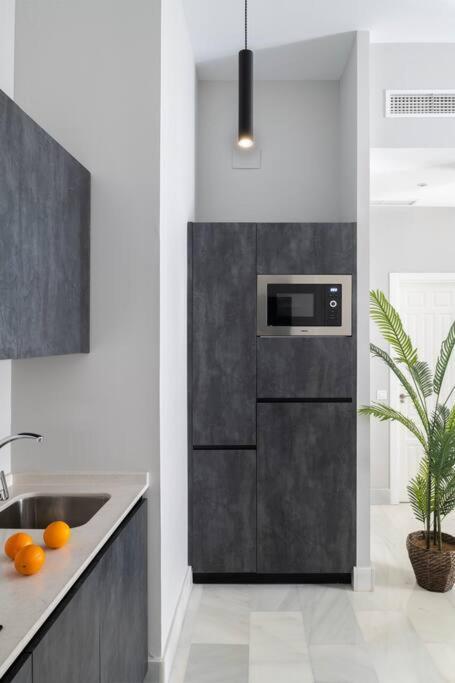 Apartment San Buenaventura 11