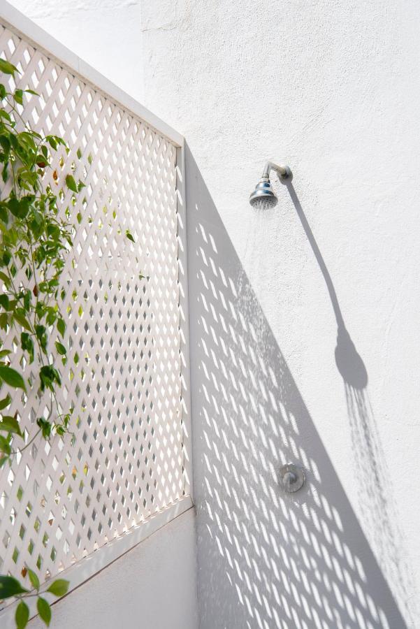 Lepanto Premium Seville