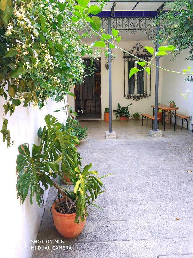 Alacas Seville