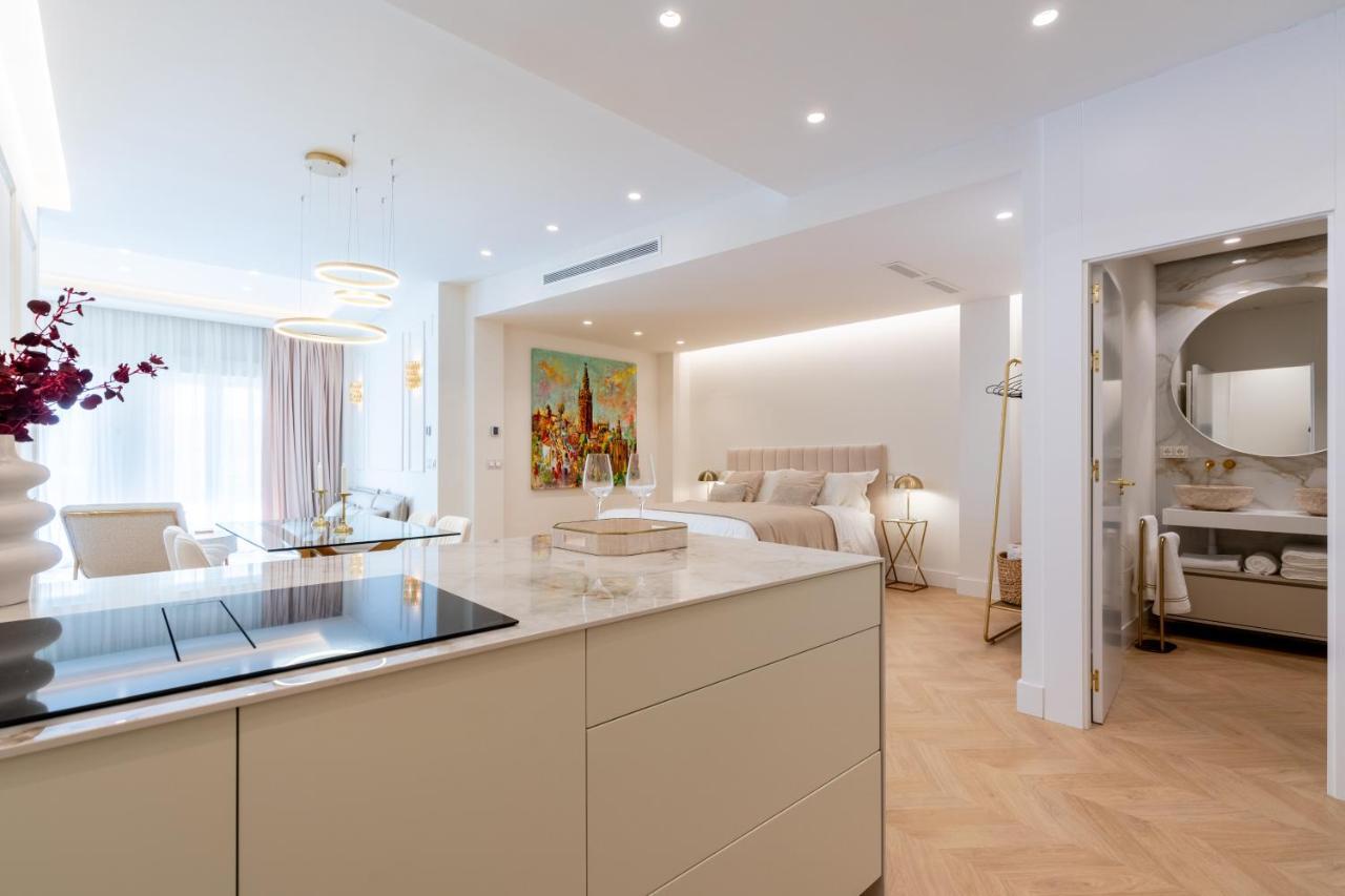 Apartment Premium Constitucion *