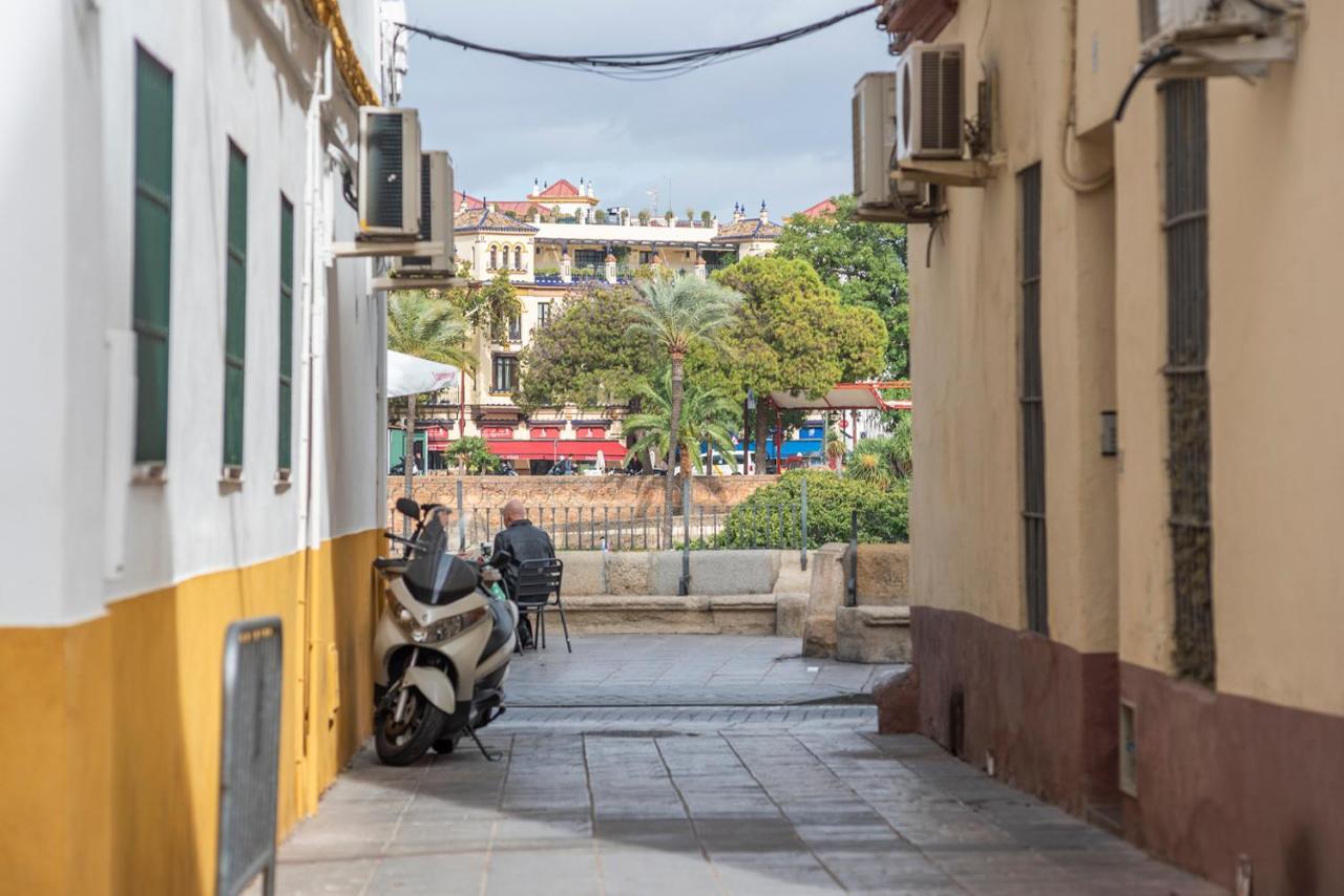 Flipanddo Triana Seville