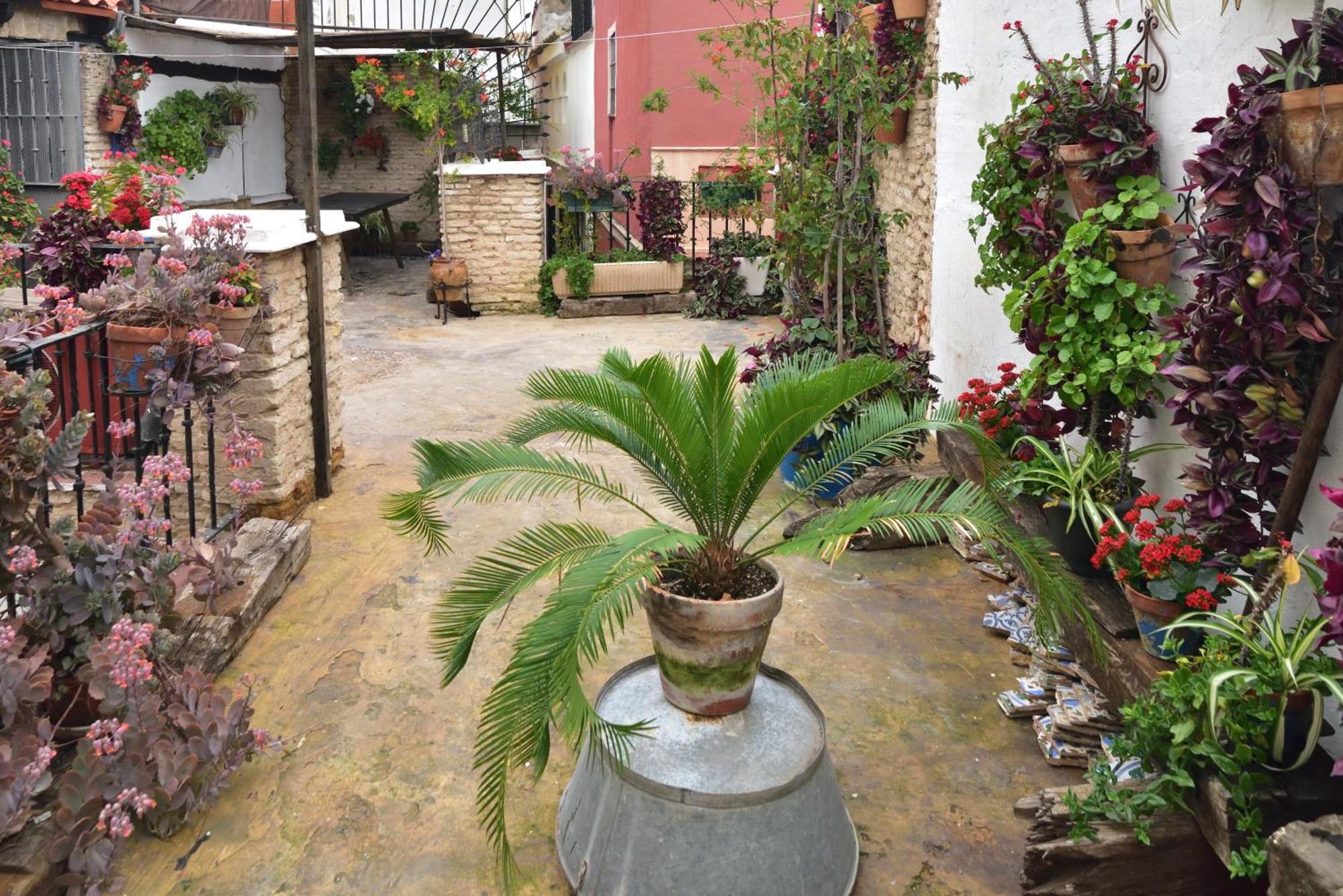 Dona Ines Barrio Santacruz Sevilla