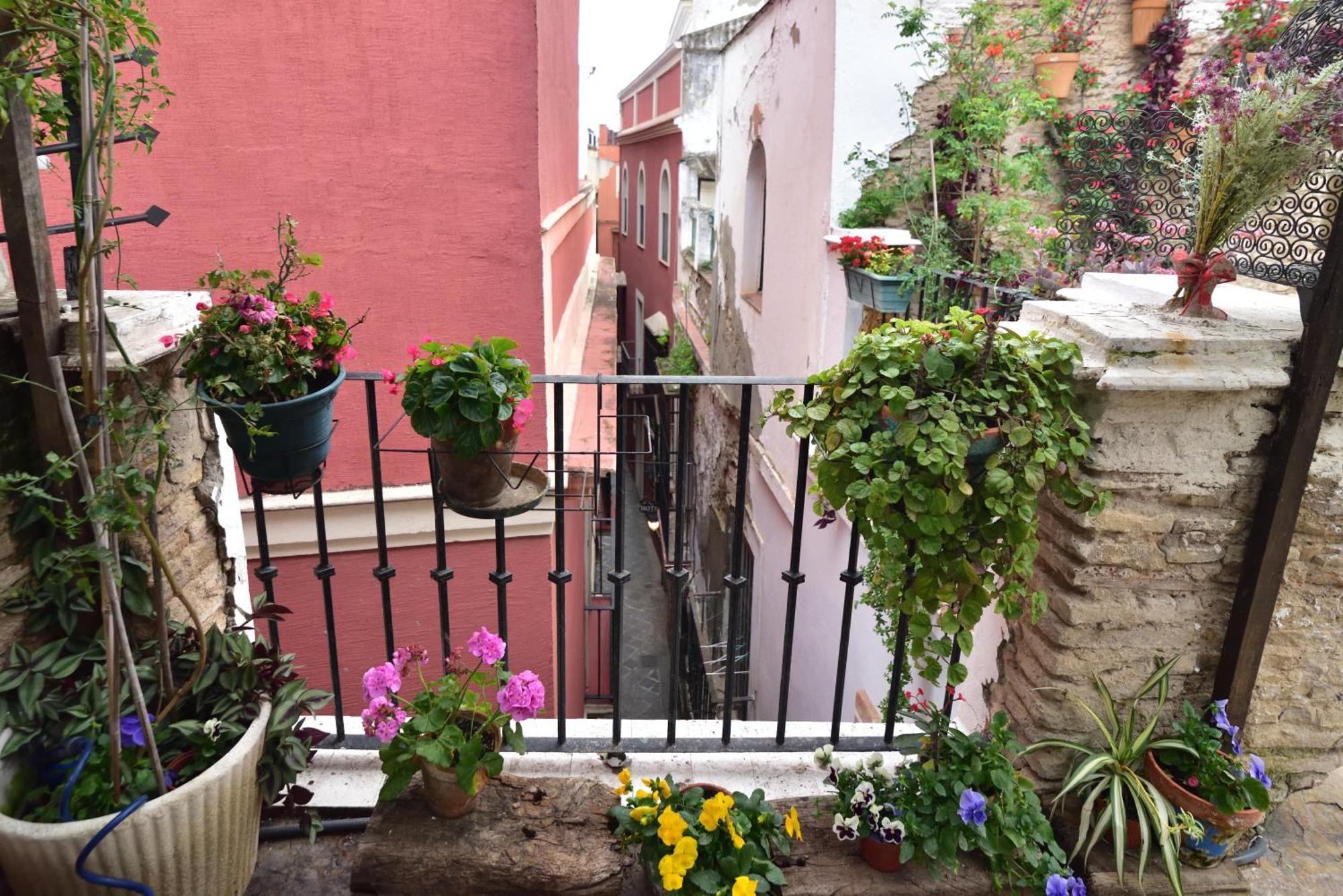 Habitación en casa particular Dona Ines Barrio Santacruz Sevilla