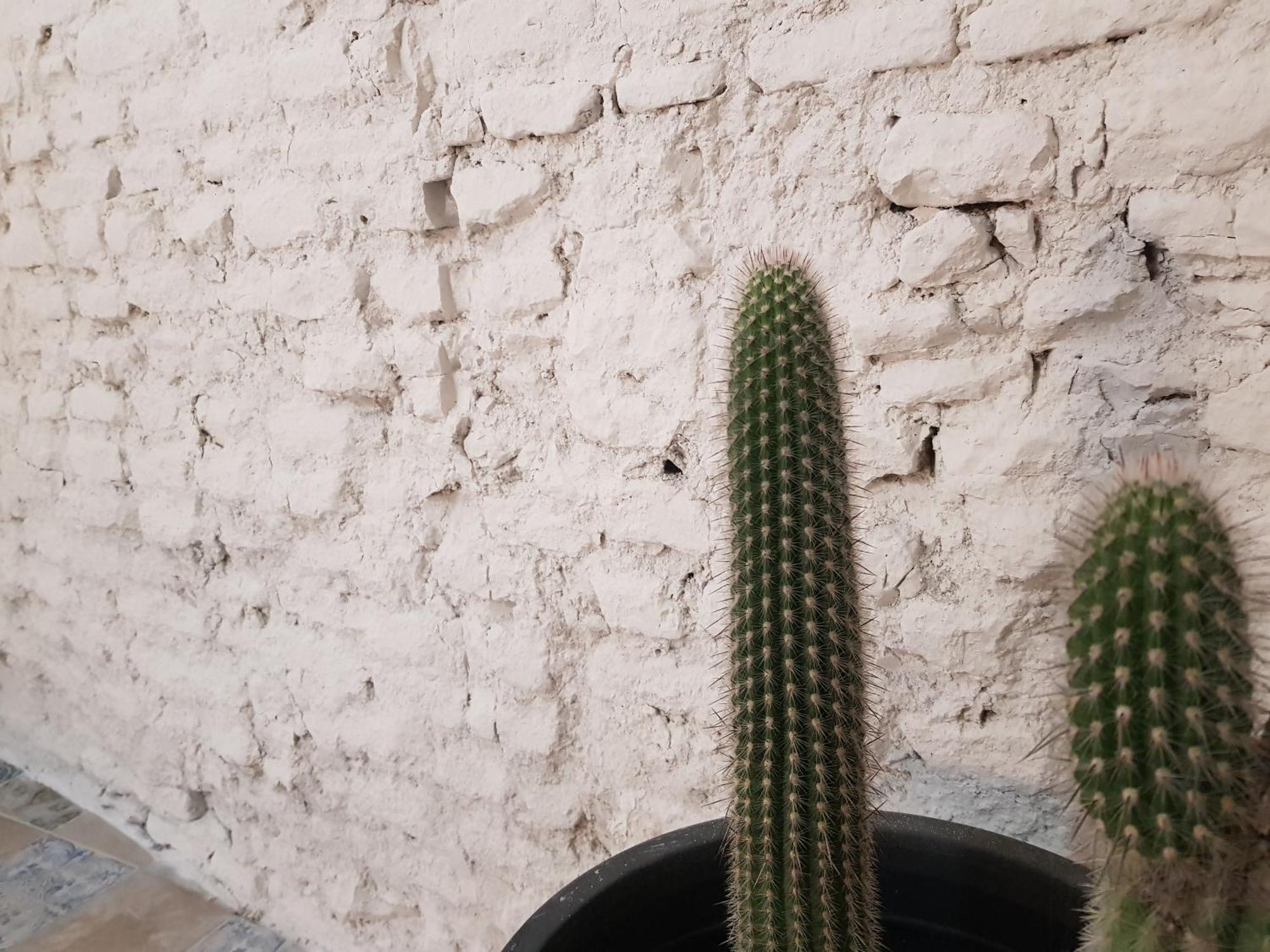 B Reform Netflix Parking Segun Disponibilidad Apartment Seville