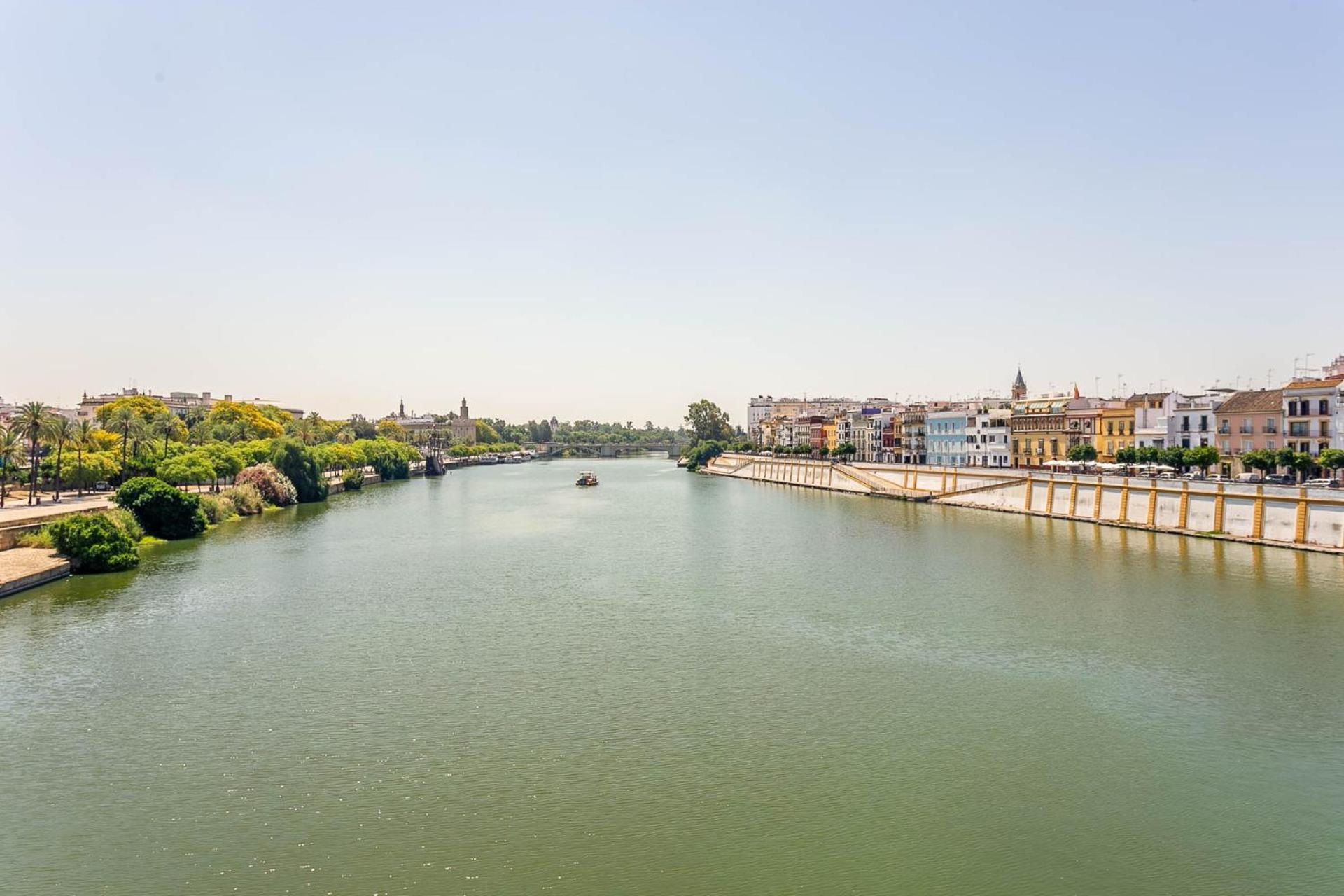 Apartment Sunterrace Loft In Triana, 10' From Feria And Center! Seville
