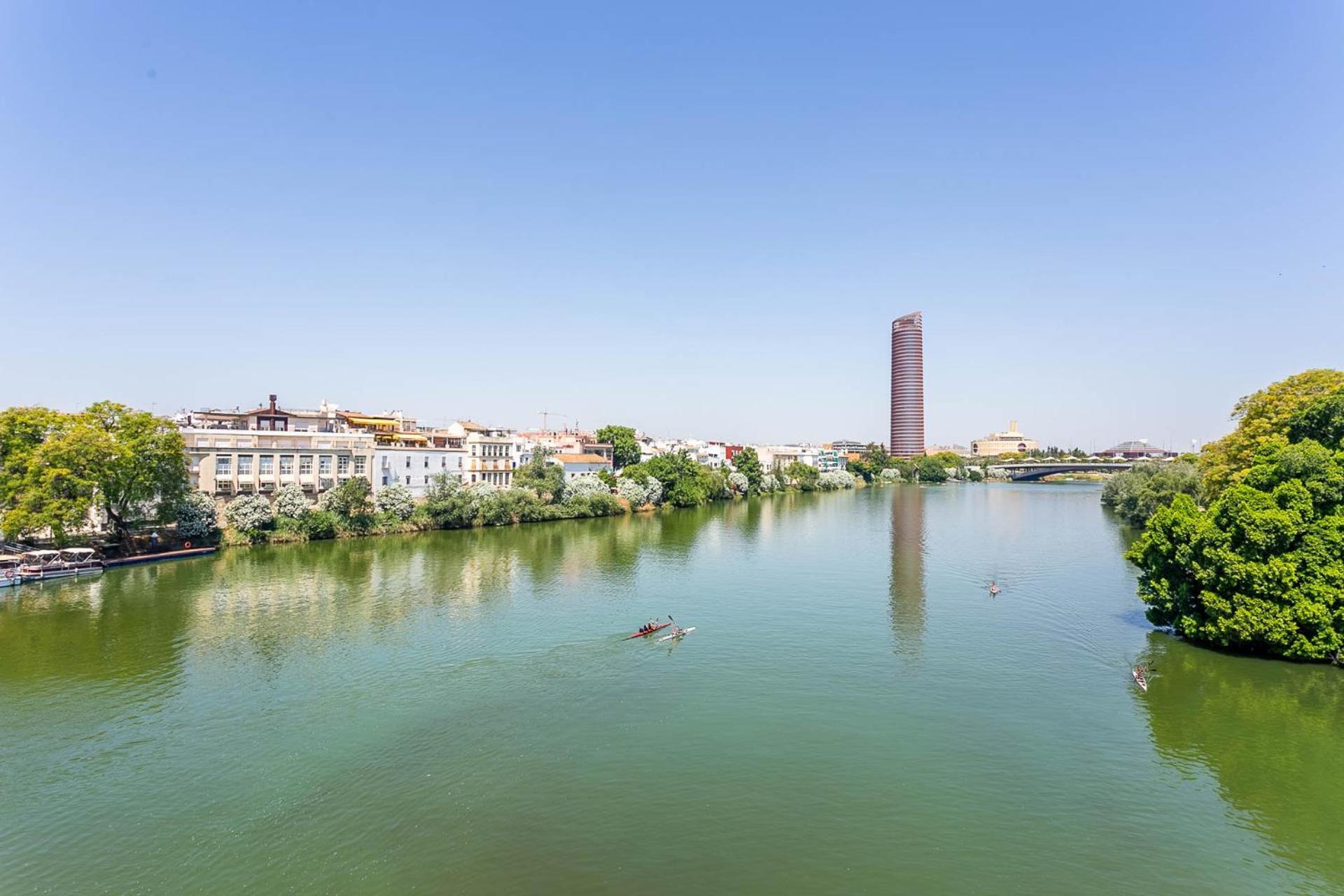 Sunterrace Loft In Triana, 10' From Feria And Center! Apartment
