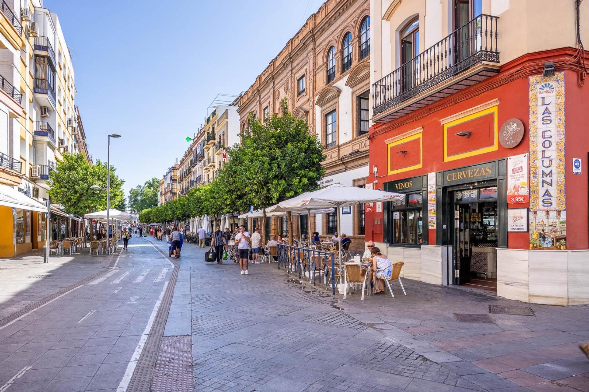 Apartment Sunterrace Loft In Triana, 10' From Feria And Center!