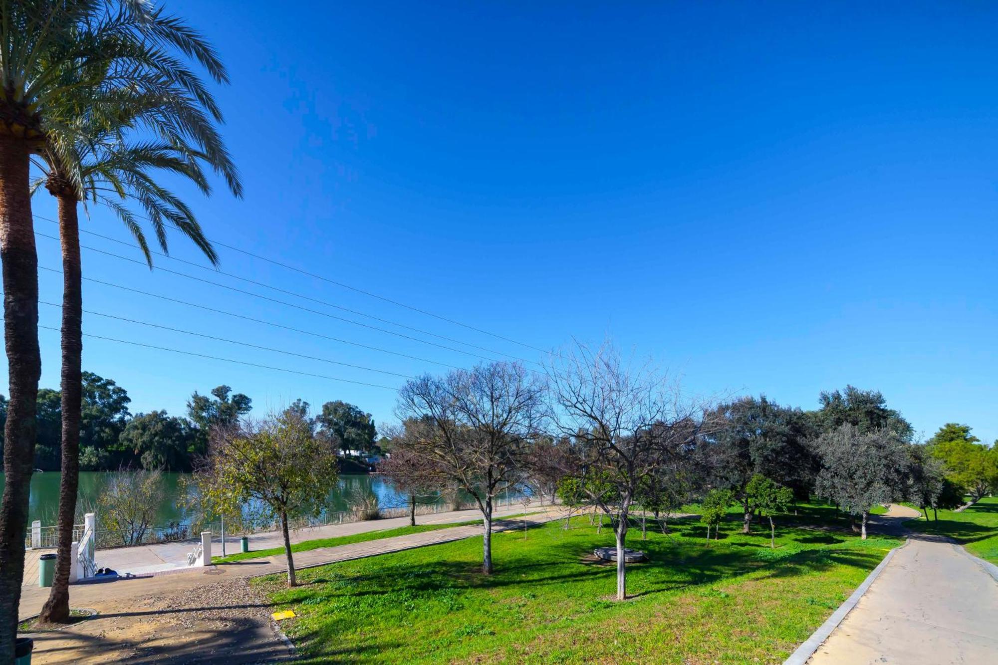 Apartamento Sje - Shiny Close To The River *