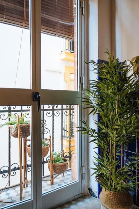 Apartment Andalusian Flavour In Heart Of * 4'giralda