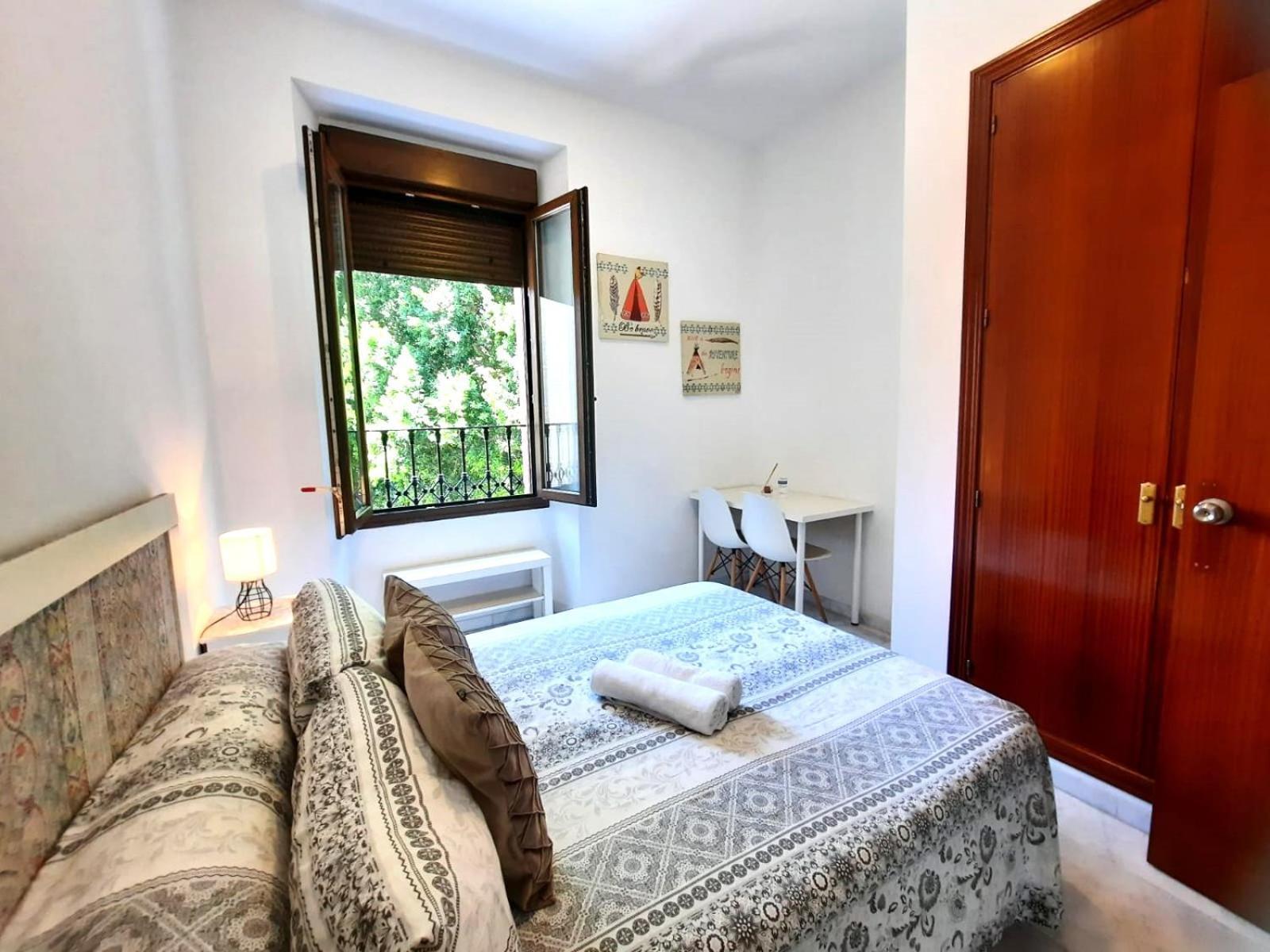 Budget Downtown Apartamento *