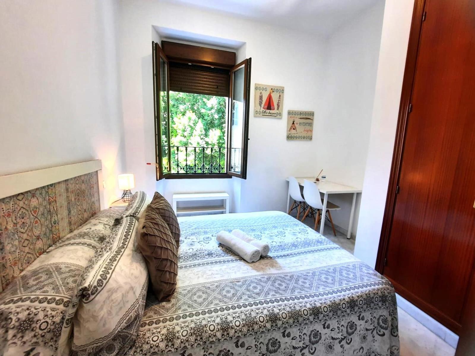 Budget Downtown Apartamento