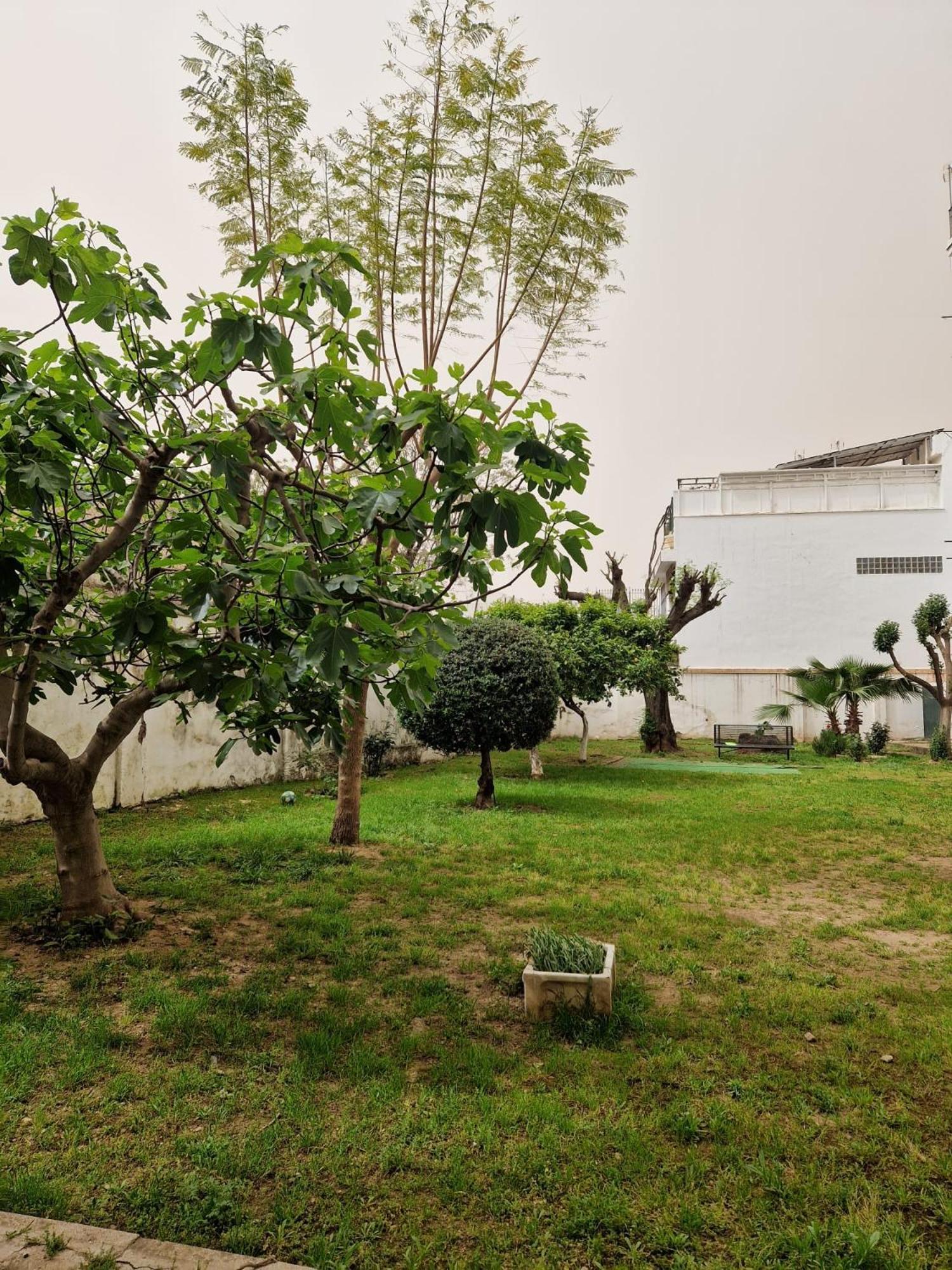 Apartment Calzada 10 *