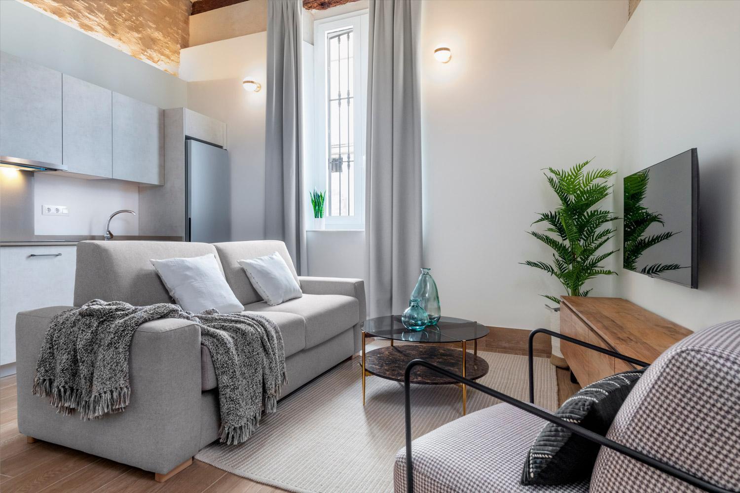 Apartment Magno Almansa